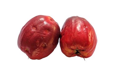 Pomerac meyveleri (Syzygium malaccense) soyutlanmış beyaz arka planda bulunan Malay Apple 'dır. 