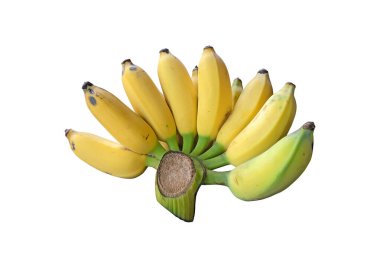 Olgun Pisang Awak muz izole beyaz arka planda kırpma yolu ile