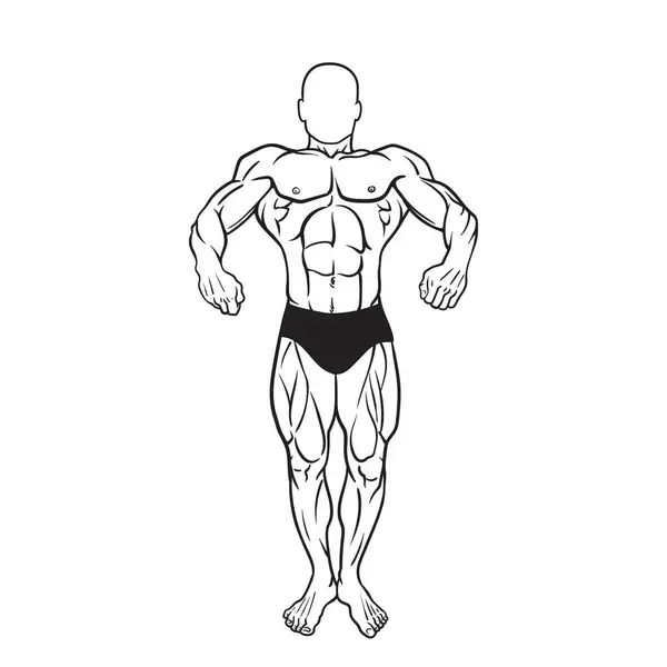 Fitness Men Posing Muscular Man Stands Vector Drawing Fitness Men — Stockvektor