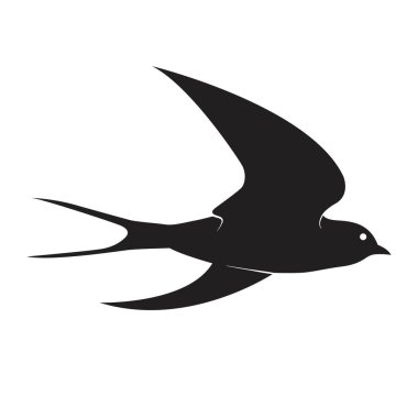 Beyaz arkaplan vektör illüstrasyonunda izole edilmiş siyah kuş ya da swiftlet silueti yut