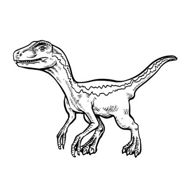 Şirin Velociraptor Renklendirme sayfası siyah beyaz çizim.