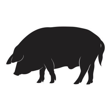 Beyaz arka planda izole edilmiş siyah bir domuzun silueti. Yan görüş. Vektör illüstrasyonu.
