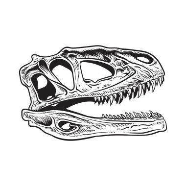 Beyaz arka plan, vektör elementi, paleontoloji, T-Rex Dinozor Kafatası Kafatası Dövmesi üzerinde izole edilmiş el yapımı Tyrannosaurus kafatası.