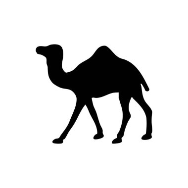 Deve Silueti, Beyaz Arkaplanda İzole Edilmiş