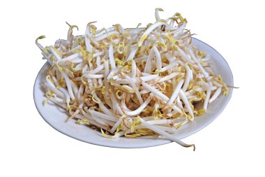 Beyaz arkaplanda kırpma yolu ile izole fasulye filizi.