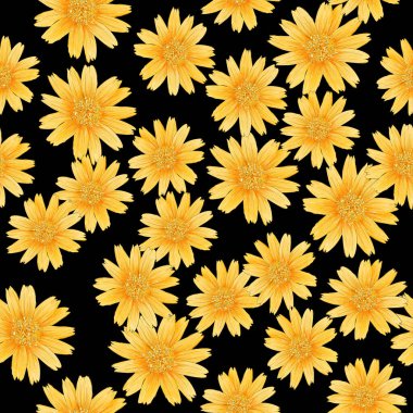 Kusursuz desenli siyah arkaplanda Singapur papatyası çiçeği.