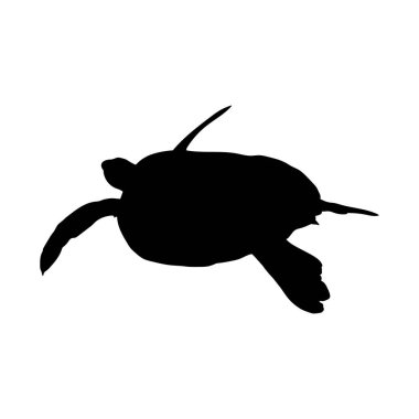 Vector flat turtle silhouette isolated on white backgroun