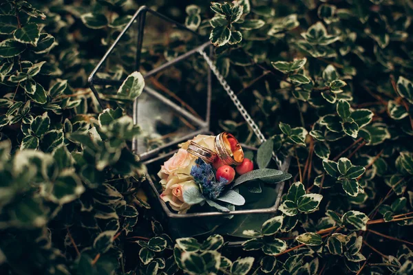 stock image Wedding decor glass box on a metal base for a flower and gold wedding rings rose bloom with green petals on green grass