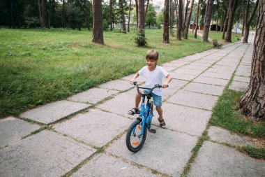 A little cute boy in denim shorts and a white t-shirt rides a children's bike along a path in the park during the day.