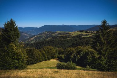 Gün boyunca güzel dağ manzarası. Karpatlar, Ukrayna.