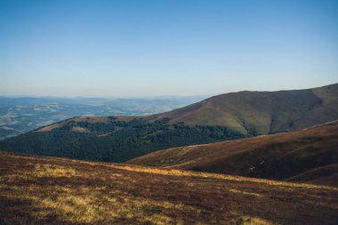 Gün boyunca güzel dağ manzarası. Karpatlar, Ukrayna. Tasarım ve yaratıcı çizimleriniz için bir arkaplan olarak bir resim.