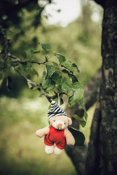 Roztomilý Dětský Medvídek Červených Šatech Pruhovaná Čepice Visí Stromě Lese — Stock fotografie