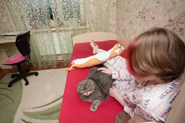 一个穿着睡衣的女孩坐在床上 抱着她的宠物 一只苏格兰折叠的猫 一个关于对宠物的态度和爱的形象 — 图库照片