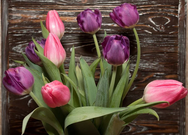 Букет Красивих Свіжих Фіолетових Рожевих Тюльпанів Тлі Темної Фактурної Стіни — стокове фото