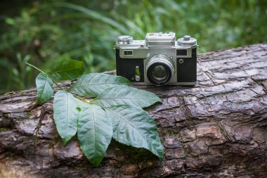 Eski bir kamera devrilmiş bir ağacın üzerinde, ormandaki yeşil bir çimenliğin arka planında duruyor. Yakınlarda yeşil yapraklar var. Yaratıcı tasarımınız veya çizimleriniz için resim.