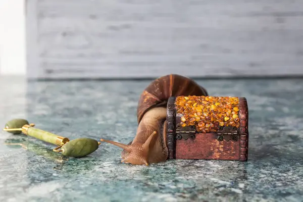 Large adult Achatina snail for cosmetic and medical procedures for skin regeneration, rejuvenation, roller for face and a decorative box made of amber. Image for beauty and cosmetology salons.