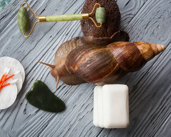 Achatina snail for cosmetic and medical procedures for skin regeneration, rejuvenation, soap, roller, cotton swabs and sponges, stone for facial massage and stone for foot peeling.