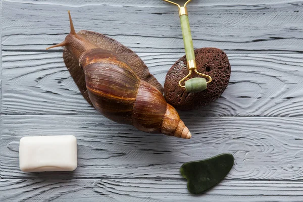 Achatina snail for cosmetic and medical procedures for skin regeneration, rejuvenation, soap, roller and stone for facial massage and stone for foot peeling, on a wooden background.