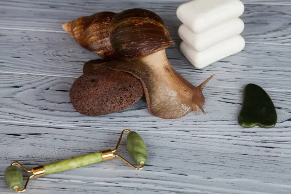 Achatina snail for cosmetic and medical procedures for skin regeneration, rejuvenation, soap, roller and stone for facial massage and stone for foot peeling, on a wooden background.