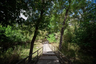 Şehir parkında demir parmaklıklı resimli merdiven. Yaratıcı tasarımınız için resim veya doğa ve boş zaman çizimleriniz için resim.