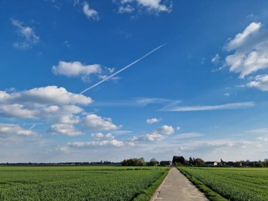 Bahar sahnesi. Tarım arazisi. Tarla ekimi. Kırsal kesimde. Country Yolu. Çiftlik arazisi. Mavi gökyüzü ve beyaz bulutlar. Güneşli bir gün. Doğal ortam. Ekin bitkileri. Ağaç siluetleri. Yemyeşil.