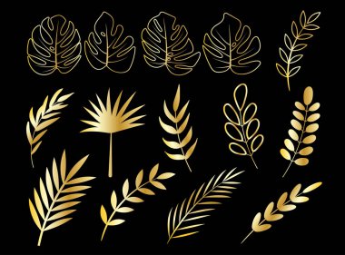 Vektör altın yapraklar hazır. Kara arkaplanda yaprak ve dal koleksiyonu var. Botanik altın bahçesi elementi.