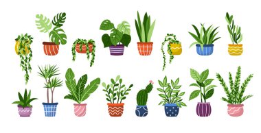 Vector ev bitkilerini tencereye koydu. El yapımı karalamalar egzotik bitki simgeleri. Ficus, kaktüs, sulu, beyaz arka planda izole edilmiş canavar..