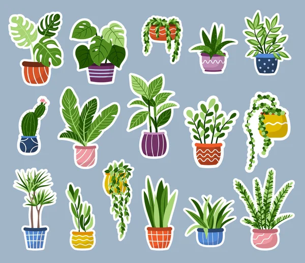 Vector Hat Zimmerpflanzen Topfaufkleber Gesetzt Sammlung Handgezeichneter Exotischer Pflanzen Ikonen — Stockvektor