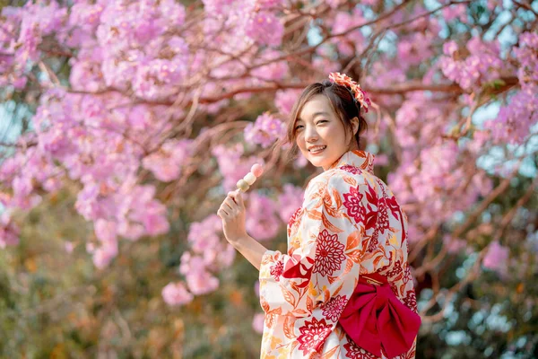 Kimono Kostümlü Elinde Kiraz Çiçekleriyle Dango Tutan Asyalı Bir Kadın — Stok fotoğraf