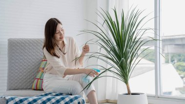 Kanepede oturan genç bir kadın mutlu bir şekilde saksı bitkisine su püskürtüyor. Parlak, rahat bir yaşam alanında bahçe ve bitki bakımının keyfini çıkarıyor..