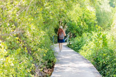 Güneş ışığında yemyeşil ağaçlarla çevrili bir orman yolunda tek başına yürüyen bir kadın yaz macerasında huzurlu bir doğa kaçışından zevk alıyor..