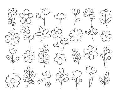 Çiçek seti, bahar çiçeği.