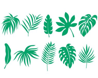 Tropikal yaprak seti, yaz bitkisi