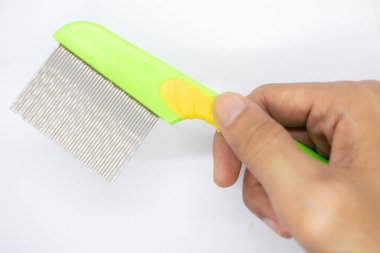 Beyaz arkaplanda elle tutulan pire tarağı