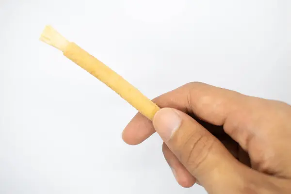 İzole edilmiş beyaz arkaplanda miswak ya da siwak diş fırçası tutmak.