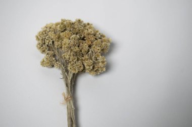 Kurumuş Çiçek Buketi Düzenleme Yükselen Çiçek Dekorasyonu