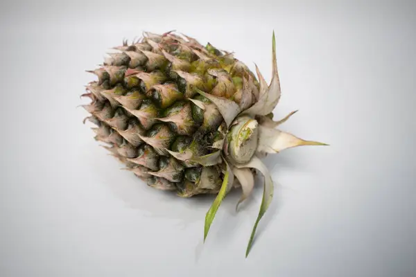 Beyaz arka planda duran olgun ananas, dikenli derisini gösteriyor..