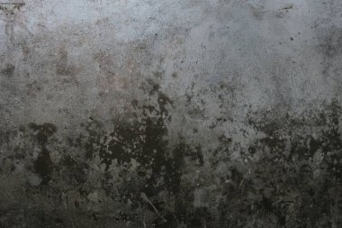 Rutubetli, eskimiş beton bir duvar. Yüzeyde eşit olmayan şekilde yayılan siyah küf lekeleri var..