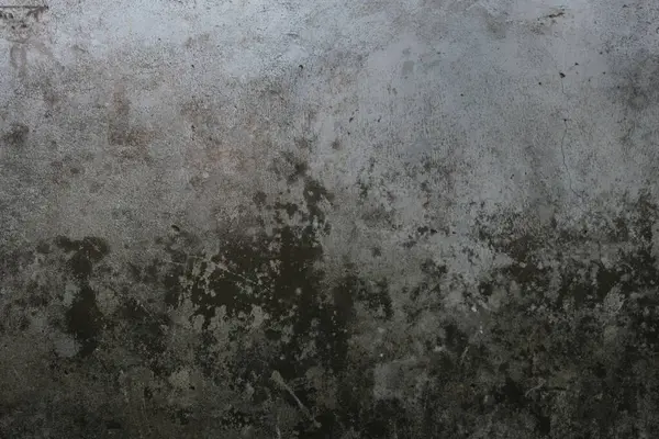 Rutubetli, eskimiş beton bir duvar. Yüzeyde eşit olmayan şekilde yayılan siyah küf lekeleri var..