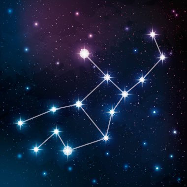 Başak takımyıldızı gece gökyüzü vektör görüntüsünde. Zodiac takımyıldızlarından biri..