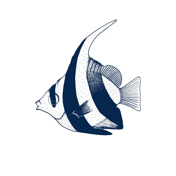 Pennant Coralfish Vector Line Drawing Fish — Stock Vector