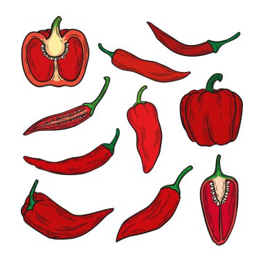 İçinde biber resmi olan bir set. Biber çizgi çizme tarzında çizilir. Acı biber, tatlı biber, biber dilimleri.. 