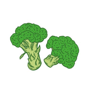 Beyaz arkaplanda kabartma biçiminde brokoli resmi. Organik yiyecekler, sağlıklı yiyecekler, ambalaj imajı..