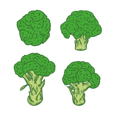 Beyaz arkaplanda brokoli resmi. Brokolili gravür stili illüstrasyon. Paketleme, organik gıda, botanik illüstrasyon için tasarım.