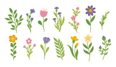 Çiçek ve dal seti. Beyaz arka planda bahar çiçekleri. Çiçek koleksiyonu, çiçek tasarımı elementleri vektörü seti.