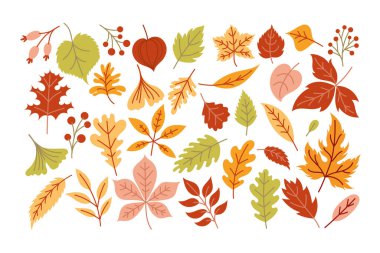 Sonbahar yaprakları, düşen yapraklar, el çizimi. Bu tasarım afiş, satış afişi, ambalaj arka planı ve karşılama arabası için iyidir.