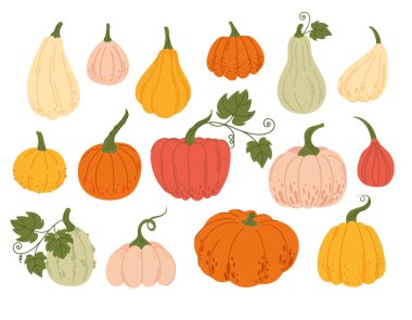 Büyük sette balkabağı. Sonbahar setleri için harika, Hasat Günü ya da Şükran Günü. Sonbahar hasadı. Elle çizilmiş balkabaklarıyla birlikte taşıyıcı ayarlandı.. 