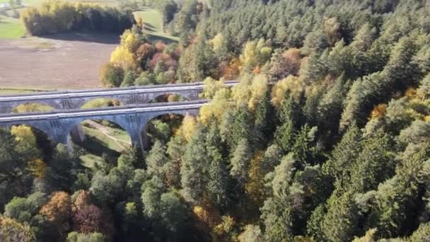 Vue Aérienne Vieux Pont Stanczyki Entre Les Forêts Les Champs — Video