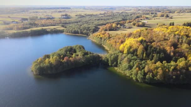 晴れた秋の日には スワルキ地方の牧草地や森林の間でハンザ湖の空中風景 — ストック動画