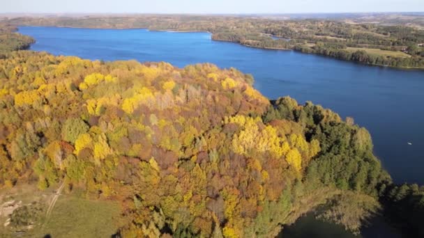 Widok Lotu Ptaka Jezioro Hancza Wśród Łąk Lasów Suwalszczyzny Słoneczny — Wideo stockowe